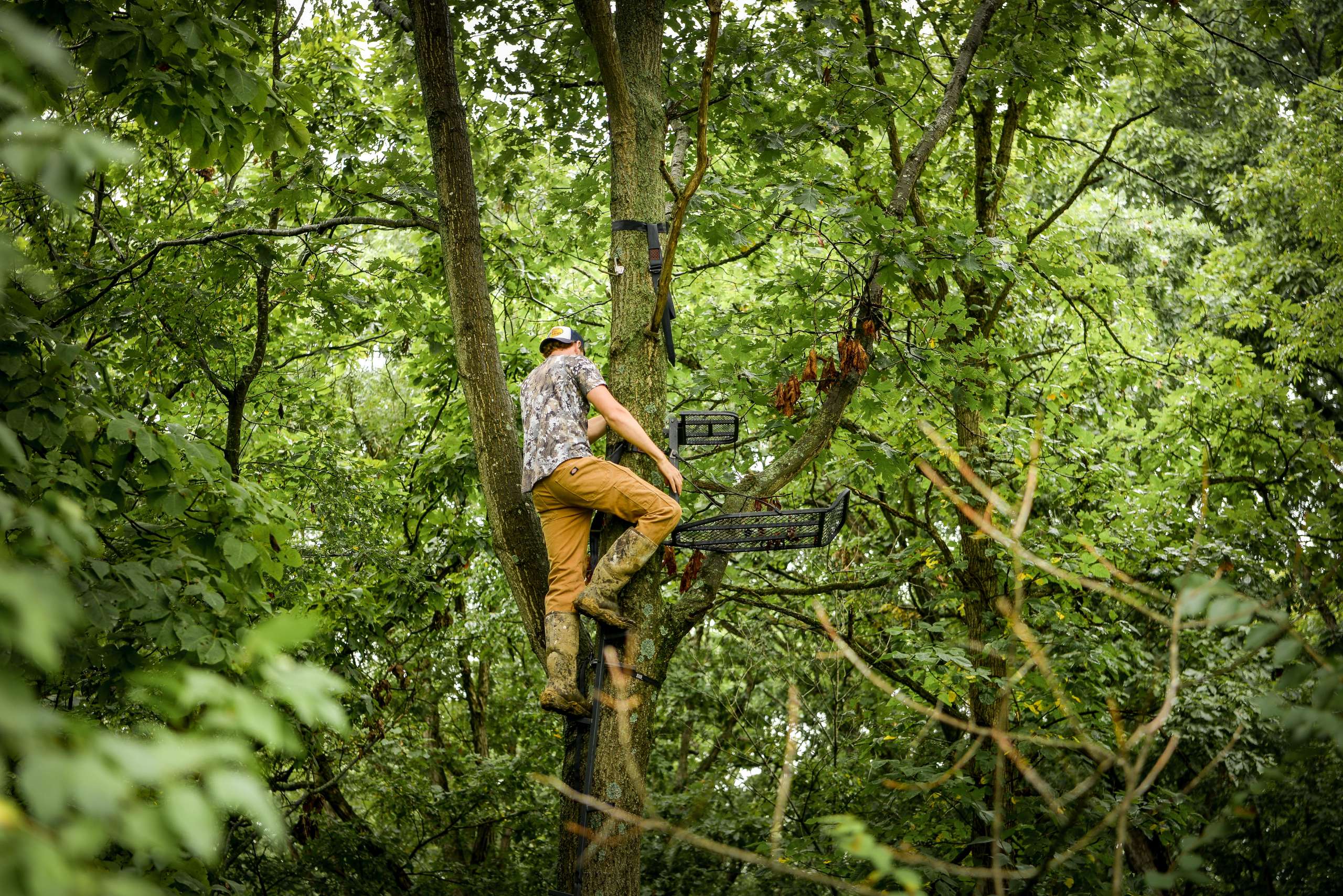 How I Hang A Lock On Treestand Safely And Efficiently - The Whitetail Group 