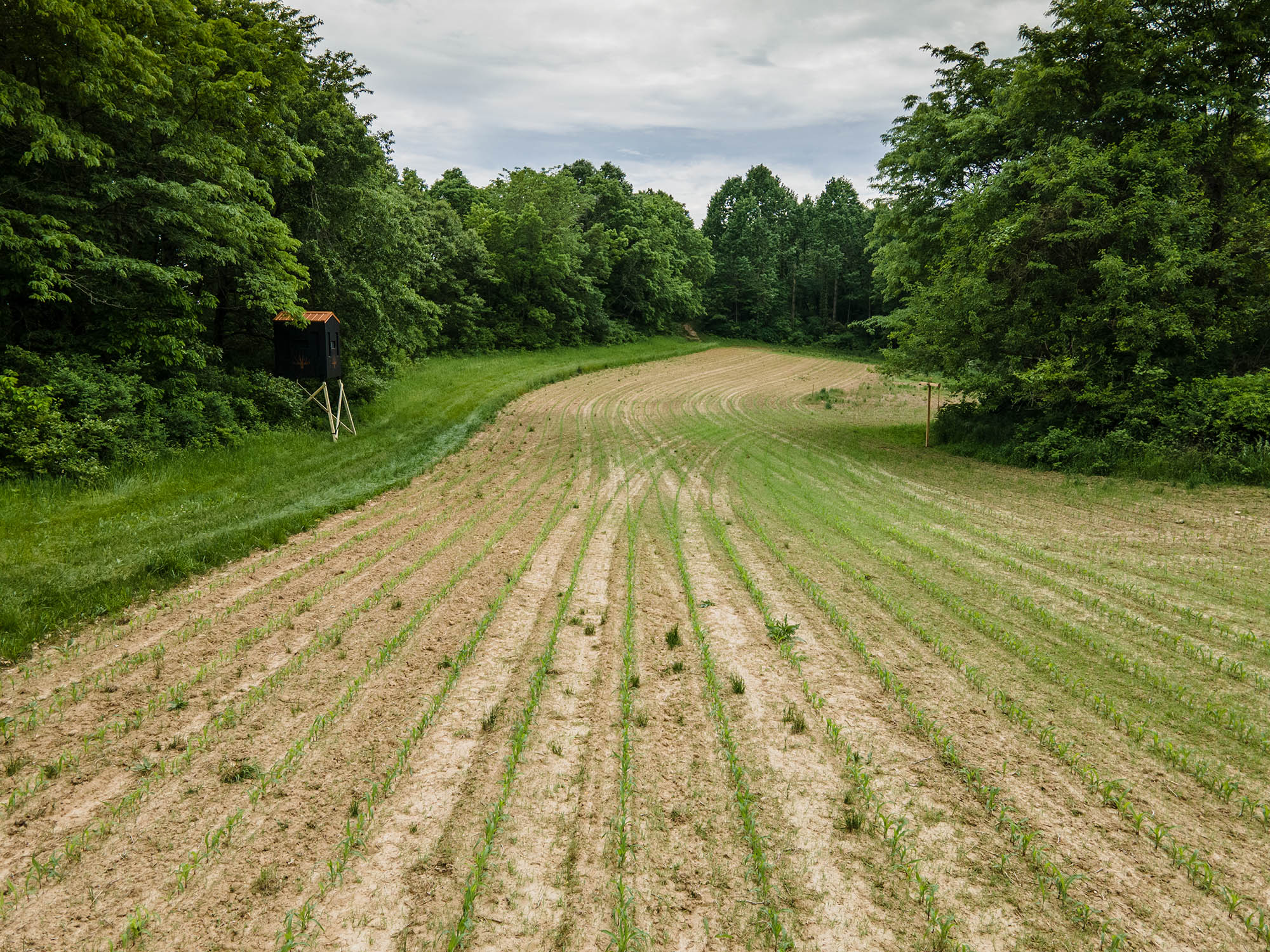 introducing-the-whitetail-group-signature-box-blind-the-whitetail-group