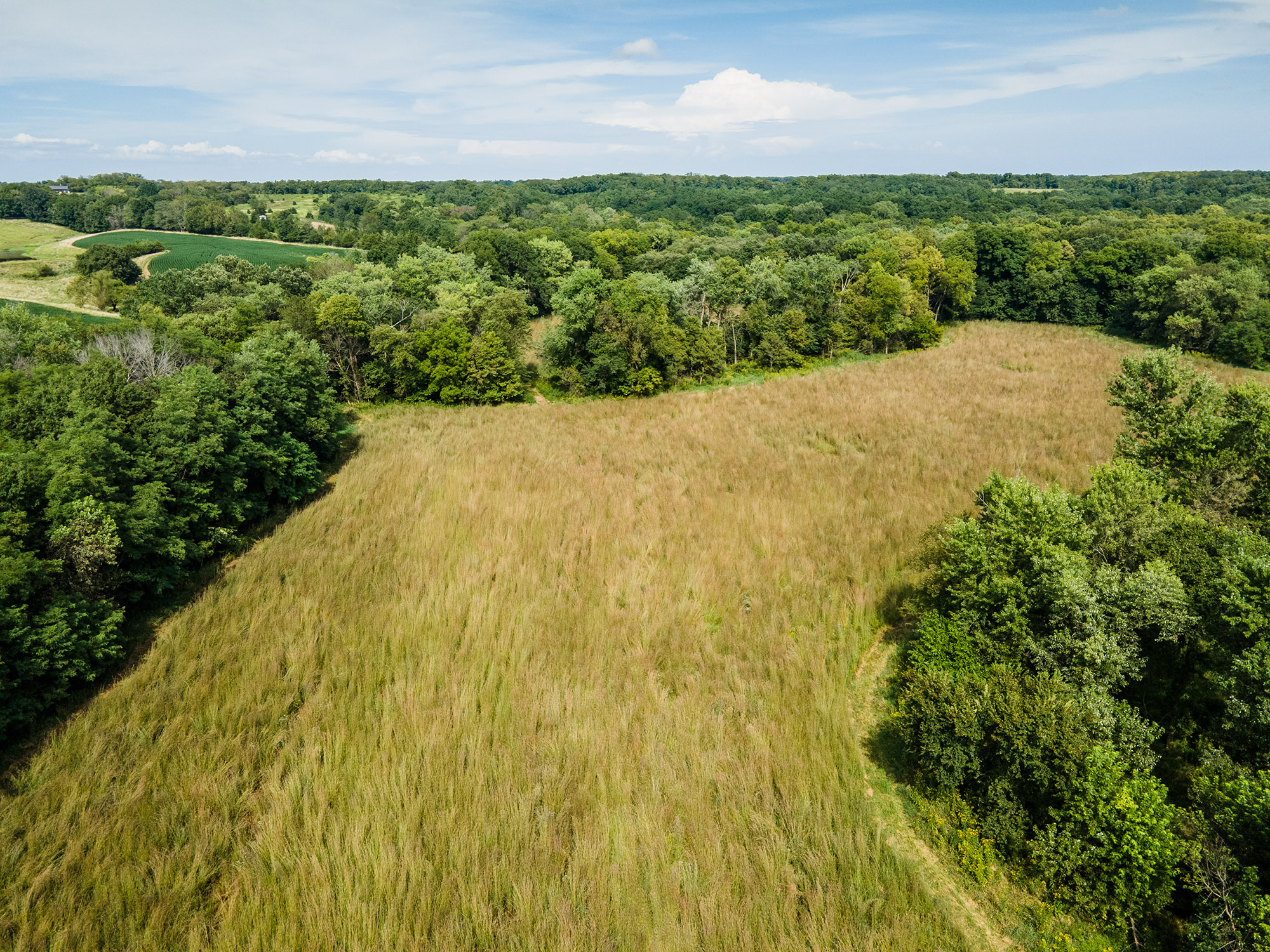 Van Buren County, IA 114 Acres The Whitetail Group