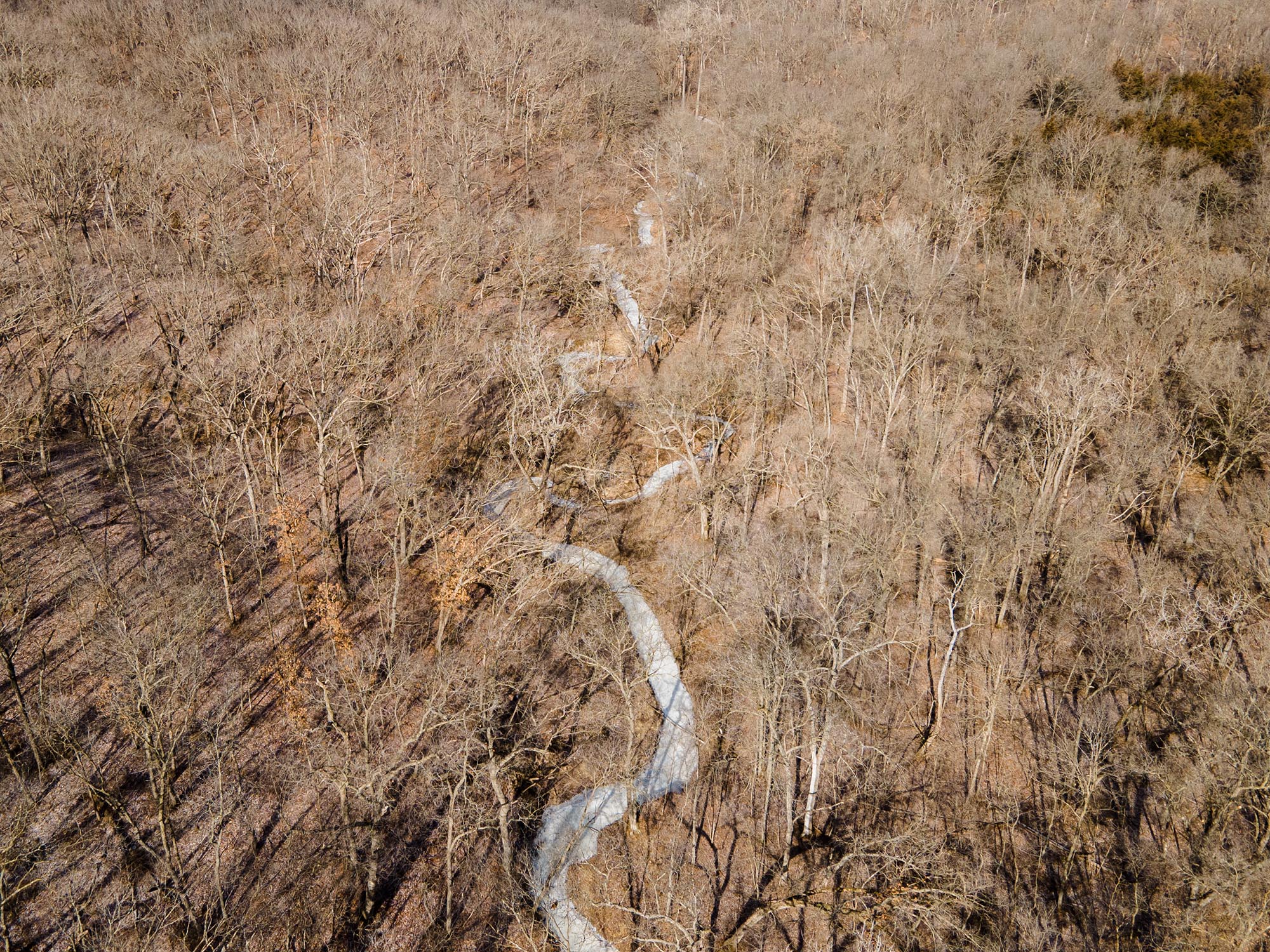 Four Southern Iowa Farms (One Managed Neighborhood) - The Whitetail Group