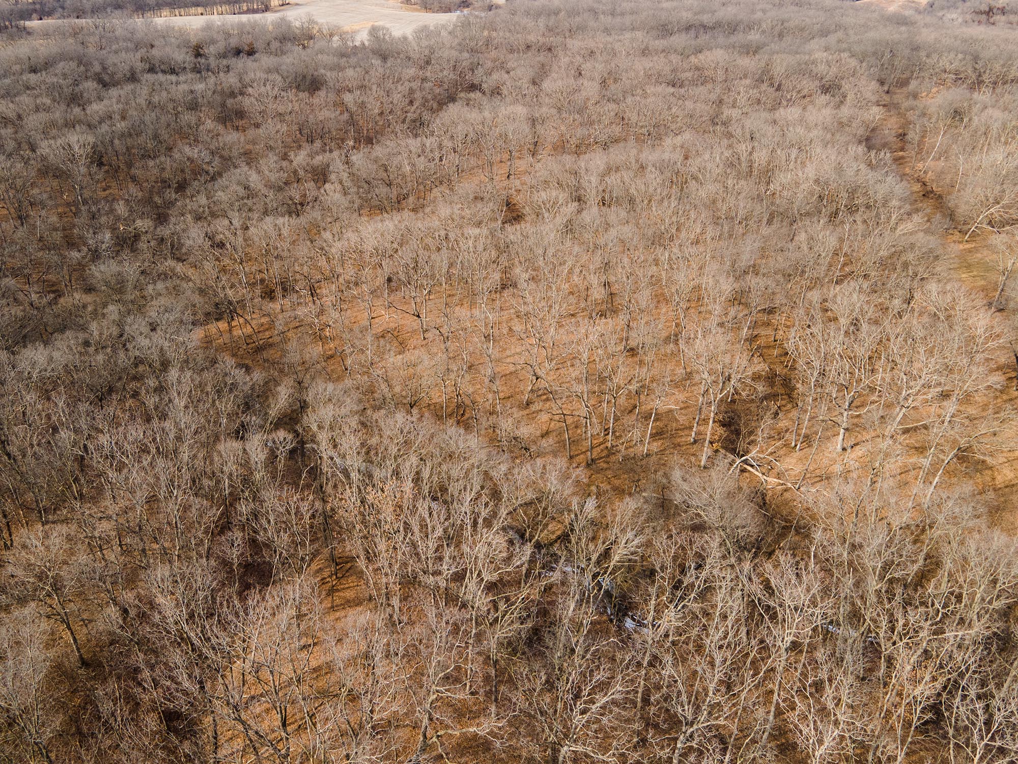 Four Southern Iowa Farms (One Managed Neighborhood) - The Whitetail Group