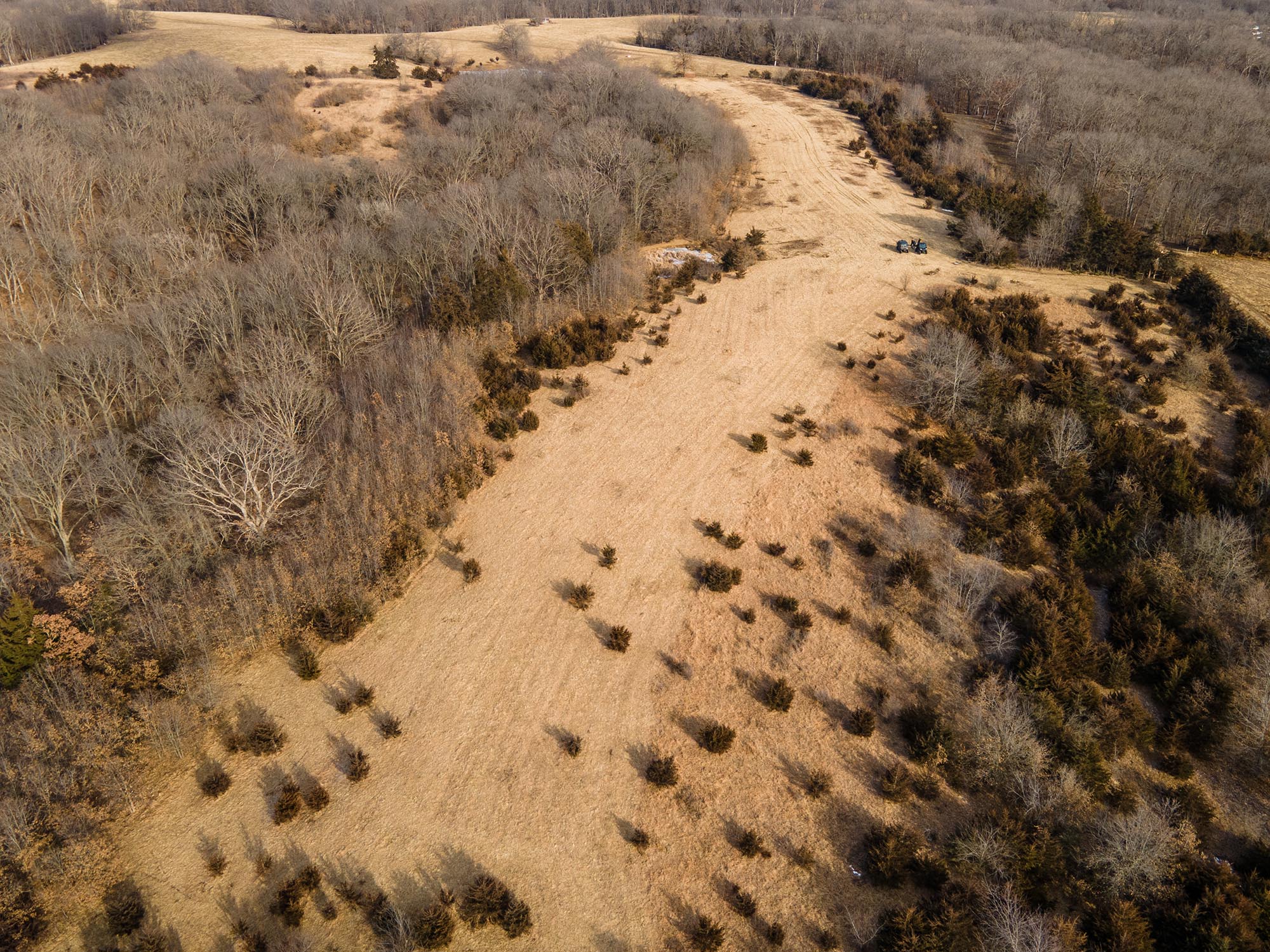 Four Southern Iowa Farms (One Managed Neighborhood) - The Whitetail Group