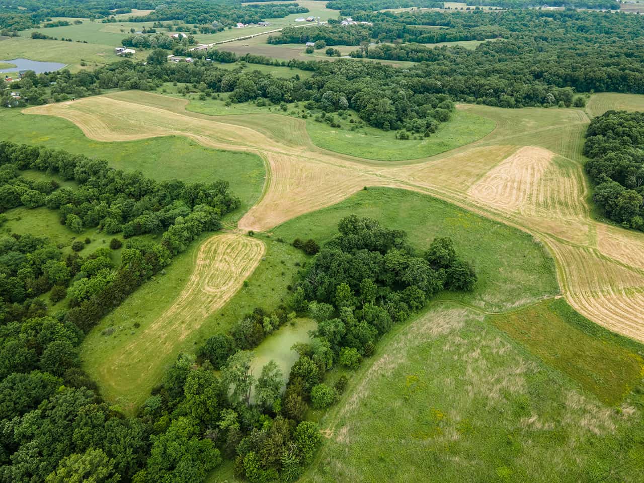 220 Acre Southern Iowa Farm - The Whitetail Group