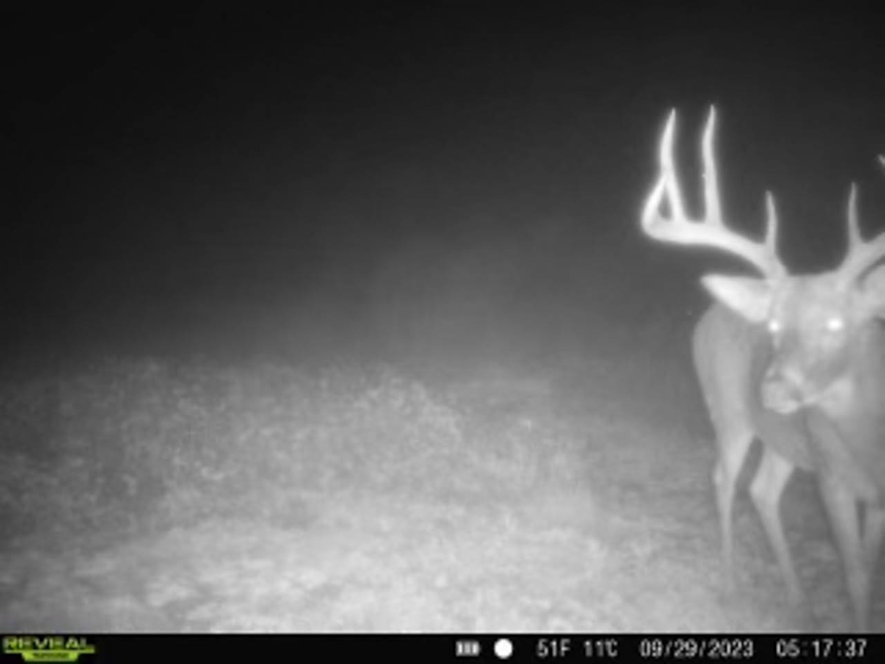 Shelby County, IL 85 Acres The Whitetail Group