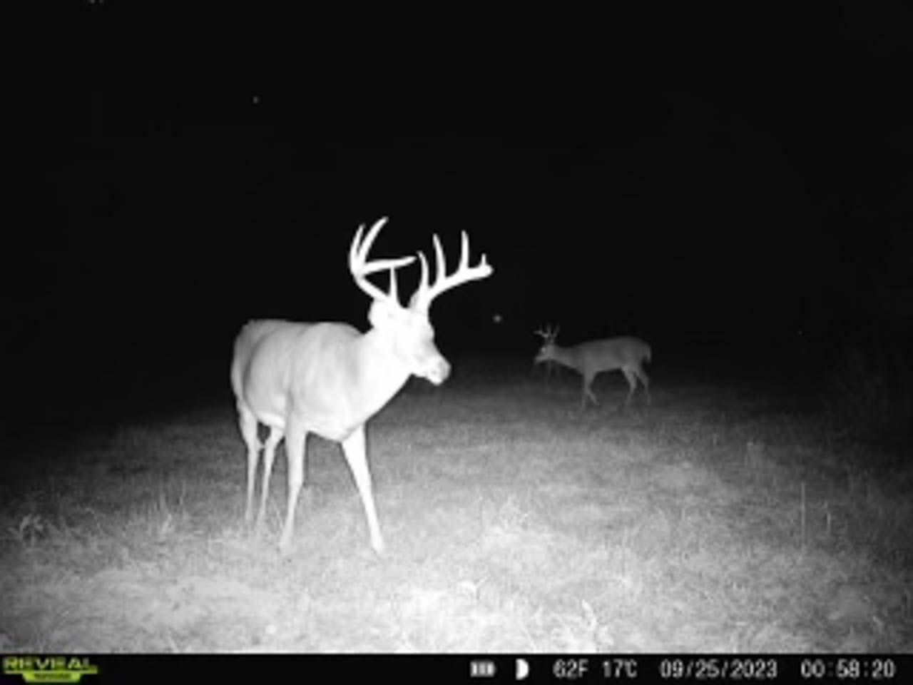 Shelby County, IL 85 Acres The Whitetail Group